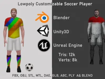 Customizable Soccer Player Rigged Low-poly 3D model