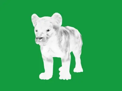 Baby Black Jaguar Cub Low-poly 3D model