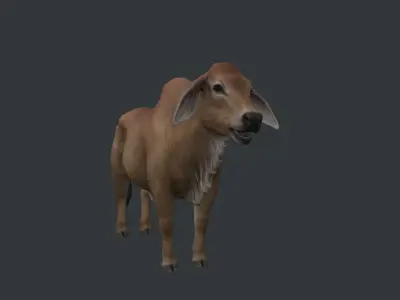 Indian Cow Low-poly 3D model
