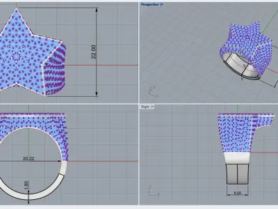 star ring model 797 3D print model