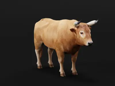 Oxen Bullock Mammal Animal Low-poly 3D model