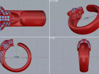 ring woman men  3D print model 3