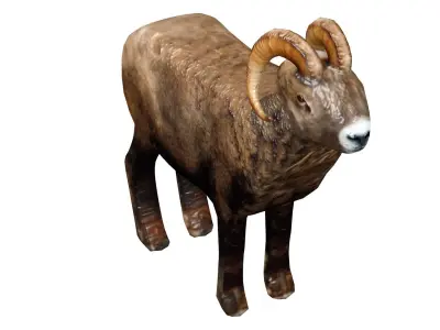 Animated and Rigged 3D Ram Animal Low-poly 3D model