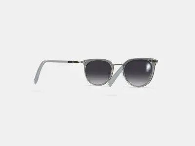 Whittier Sunglasses in Soapstone with Riesling 3D model