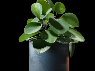 Decorative set 005 3D model