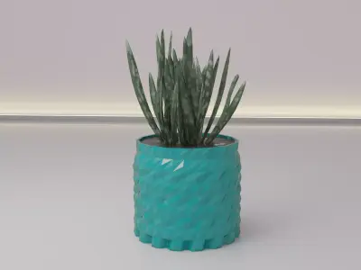 succulent flower pot 3D print model