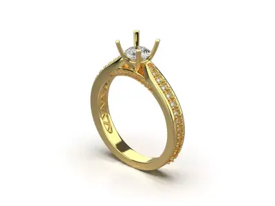 ring code 224 3D print model