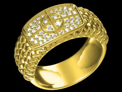 Texture RIng 3D print model
