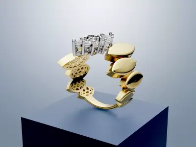 Handmade 2-Piece Ring 3D print model