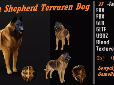 Belgian Shepherd Tervuren Dog Low-poly 3D model