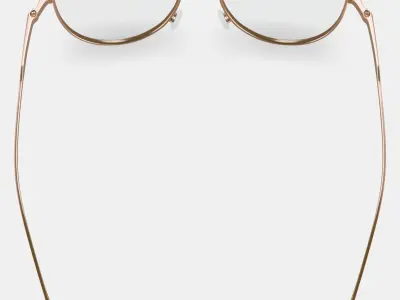 Sanaa Eyeglasses in Polished Gold with Oak Barrel 3D model