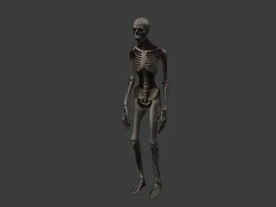 Bloody Skeleton Enemy Model Perfect for Horror Games Free low-poly 3D model