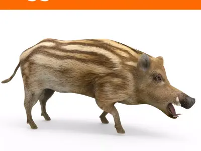 3d Boar Rigged and Animated model Low-poly 3D model