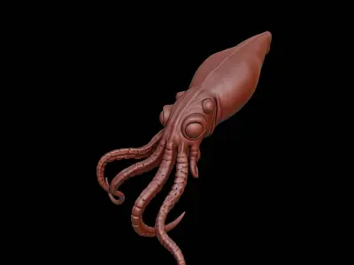 Squid Animal Sculpture 3D print model
