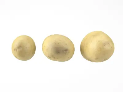 Three Different Photorealistic Potato 3D Scans 3D model
