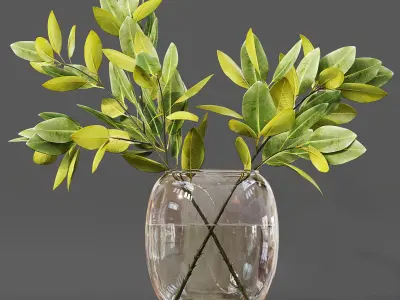 Collection Indoor Plants 06 3D model