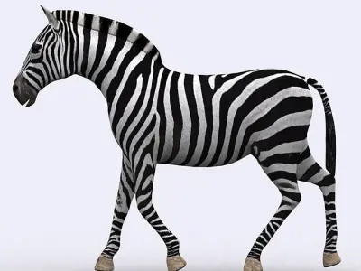 3DRT - Zebra Low-poly 3D model