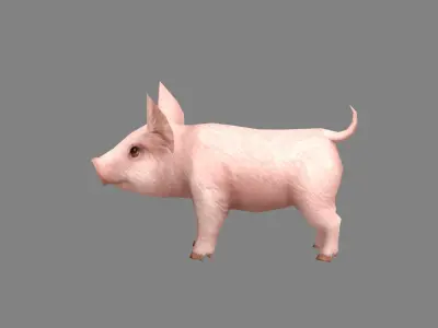 Cartoon piggy - farm pig Low-poly 3D model