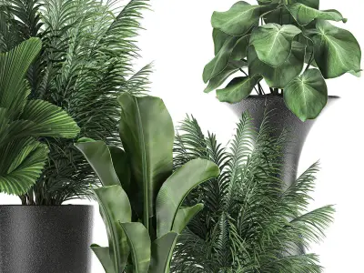 Collection of decorative plants in flowerpots 830 3D model