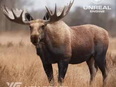 Moose Male UE Character Asset 3D model