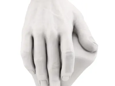 The Plaster Model of Davids Hand 3D model