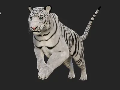 White Tiger 3D model