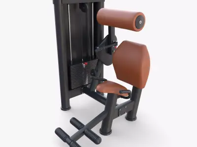 Lower back machine 3D model