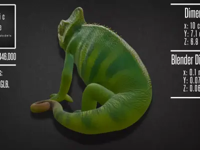 Realistic Chameleon Model 3D model
