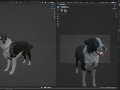 DOG - BORDER COLLIE  Low-poly 3D model