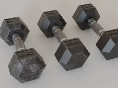 Hex Dumbbell 10 kg Used New and Dirty Free low-poly 3D model