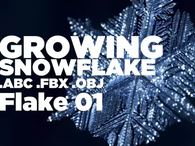 Snowflake growing animation with blender file 3D model