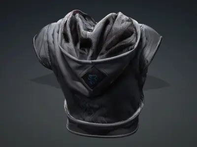 hooded top PBR 4k Low-poly 3D model