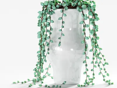 Succulents in pots - 3 models 3D model