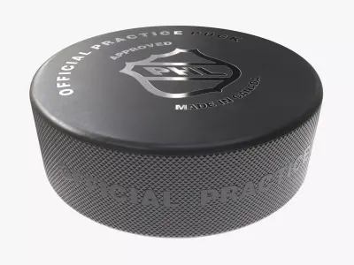 Ice Hockey Puck 3D model