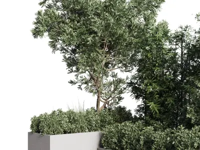 set of plants in concrete box - collection outdoor plant 115 3D model