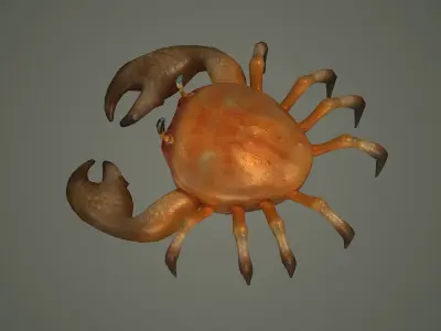 crab animal 3d model texture arthropod character  3D model