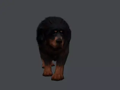 Tibetan Mastiff Dog Low-poly 3D model
