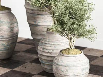 indoor plant stant 45 Low-poly 3D model