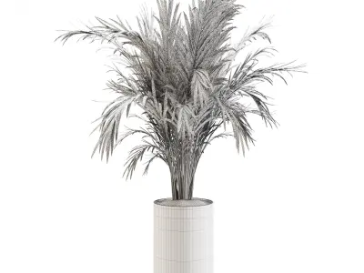 indoor luxury plant01  3D model