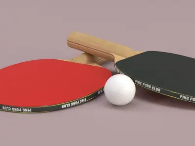 Ping Pong Paddle Free low-poly 3D model