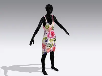 Woman Cloth Dress Low-poly 3D model