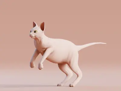 Low poly - Stylized cats - Sphynx Cat  Low-poly 3D model