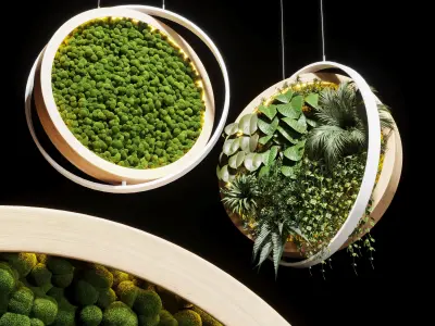 indoor plant and hanging plant and pot light  3D Model Collection