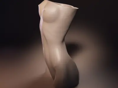 Female Figure Vase printable model 3D print model