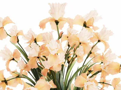 Beautiful Bouquet In Glass Vase With Flowers Iris 573 3D model