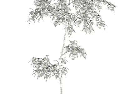 Plants collection 96 3D model