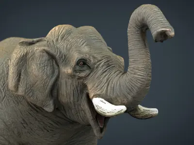 Asian Elephant 2 Low-poly 3D model