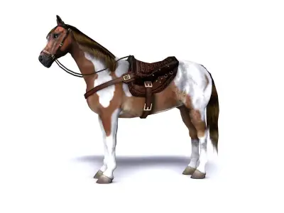 Pinto Horse with saddle and bags Low-poly 3D model