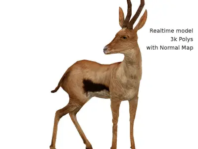 Generic Realtime African Brown Buck Low-poly 3D model
