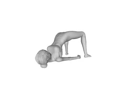 Printle L Femme 991 S 3D print model